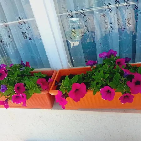 Apartment Dioklecijan *